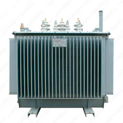 ТМГ-100кВА Трансформатор силовой герметичный